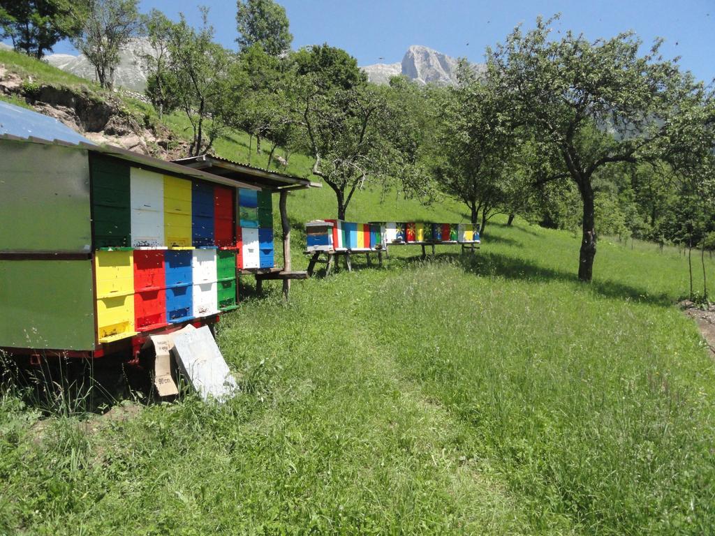 Ferienwohnung Apartma Skubin Kobarid Zimmer foto